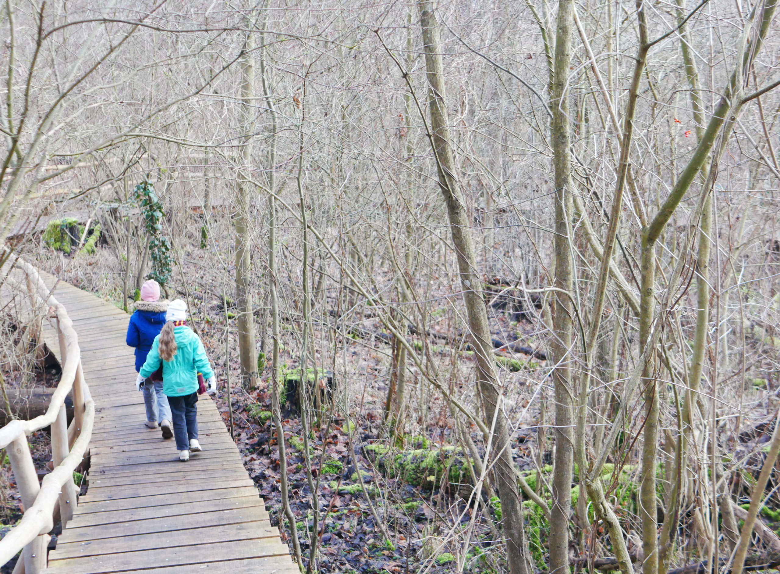 Erlebnispfad, App, Wanderwege, Wanderung, Tourismus, Wegweiser, Wald, Waldwildnis, Familie, Credit: B. Berlin