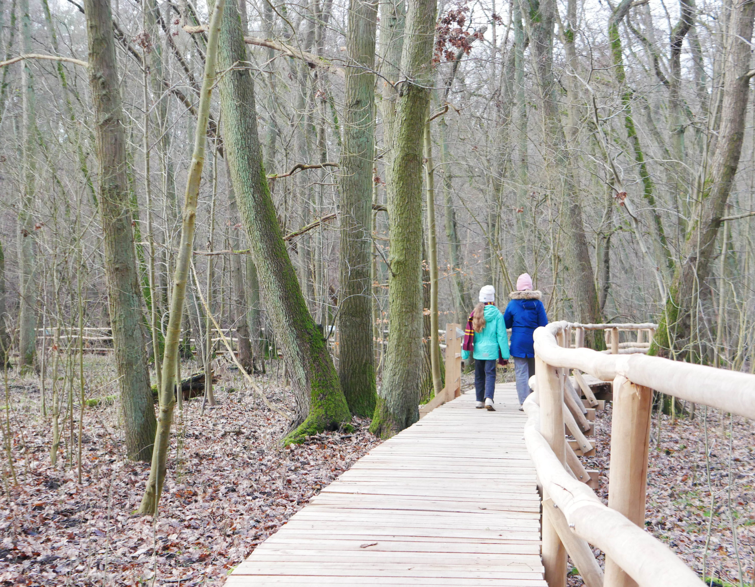 Erlebnispfad, App, Wanderwege, Wanderung, Tourismus, Wegweiser, Wald, Waldwildnis, Familie, Credit: B. Berlin