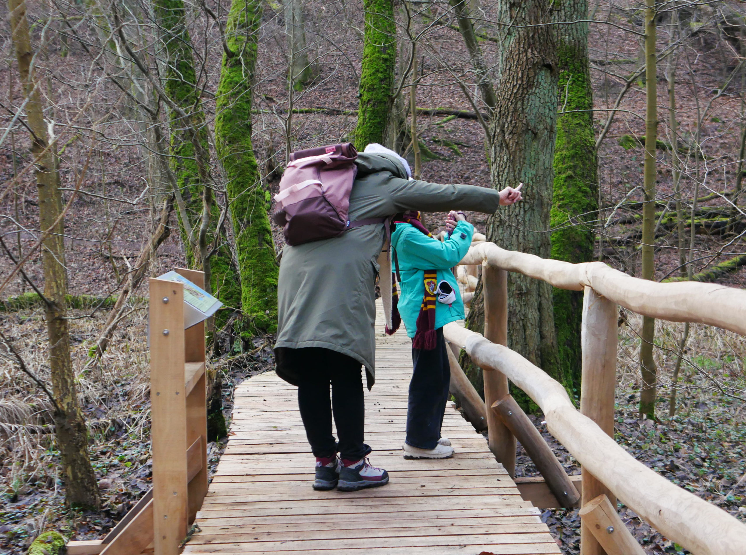 Erlebnispfad, App, Wanderwege, Wanderung, Tourismus, Wegweiser, Wald, Waldwildnis, Familie, Credit: B. Berlin